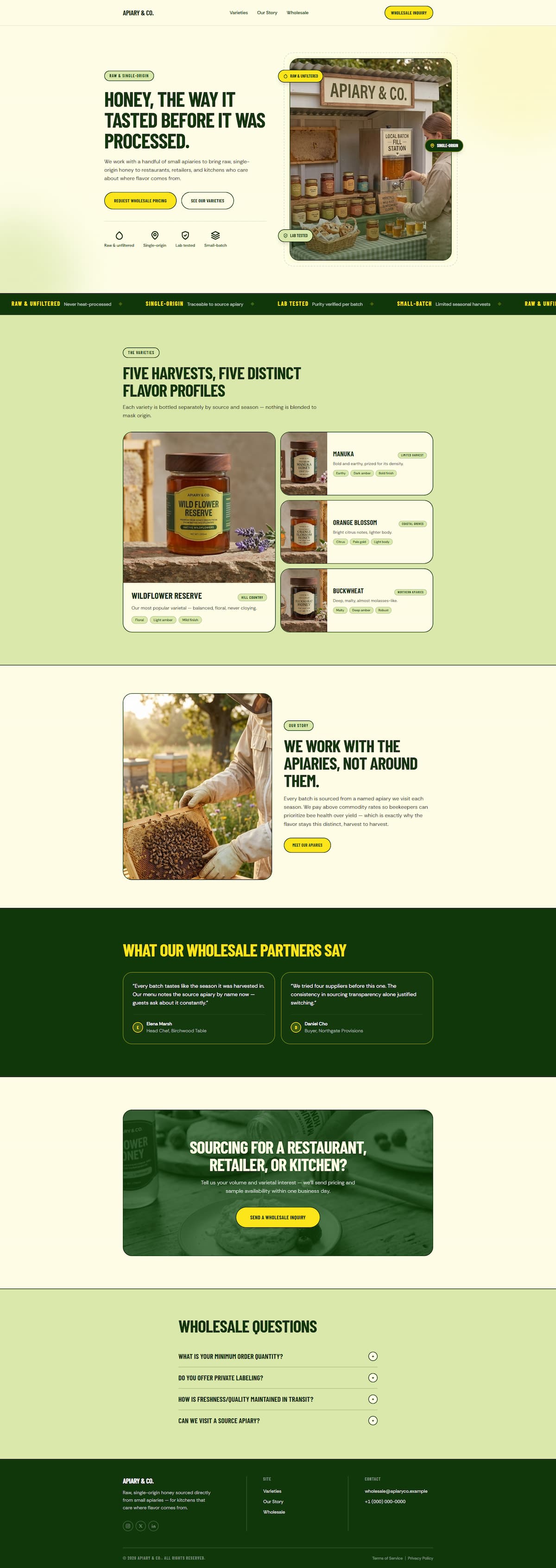 Free Template website